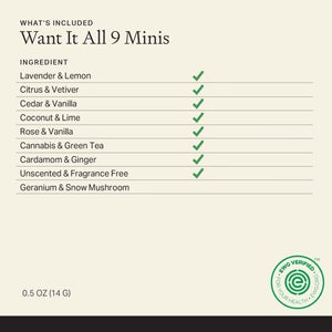 Want It All Kit