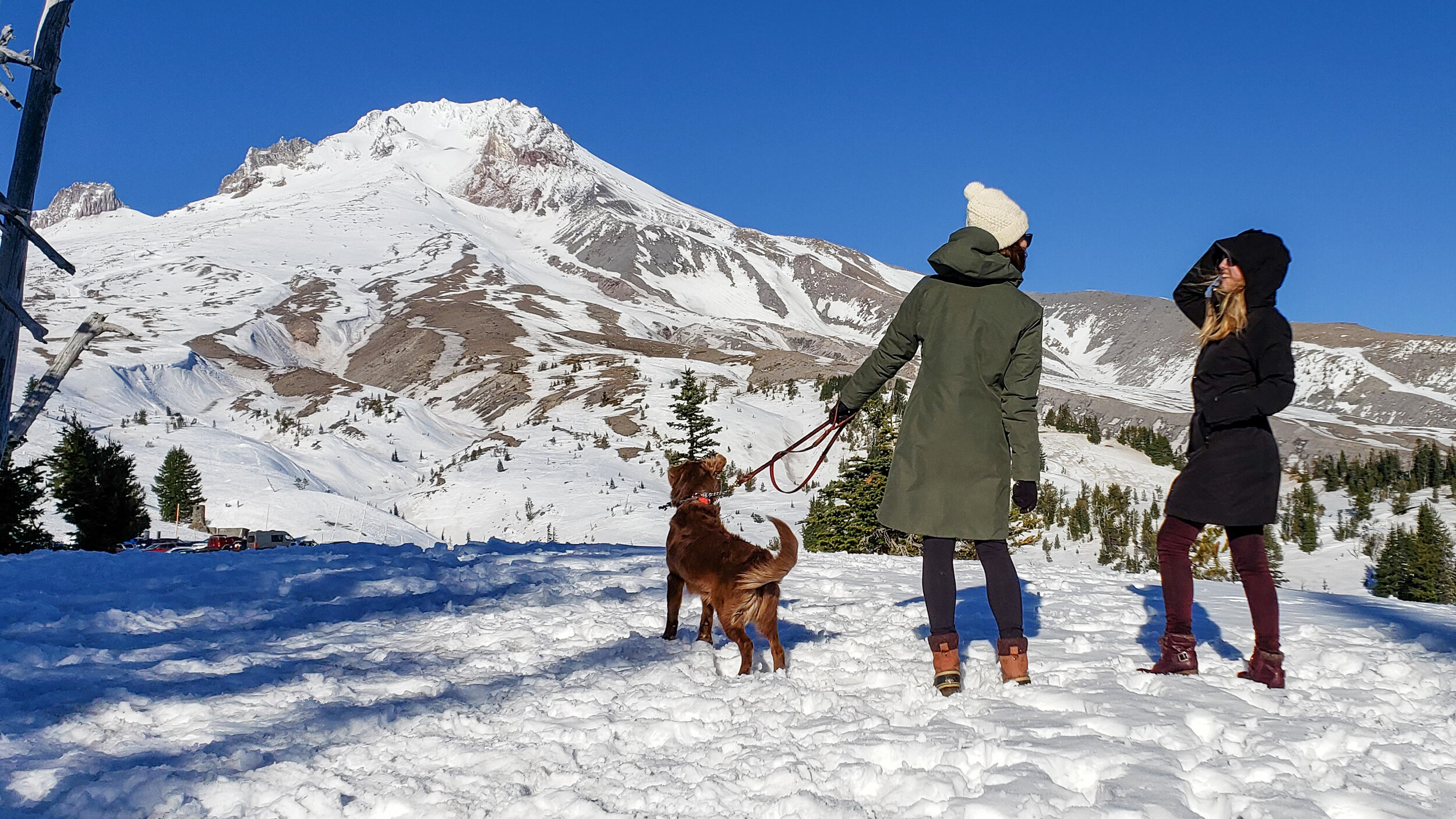 The Arc’teryx Patera (left) &amp; Patagonia Tres 3-in-1 (right) are two of the most luxurious &amp; waterproof winter coats on the market.